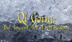 Qi Gong DVD